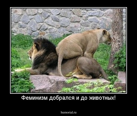 Феминизм добрался и до животных!