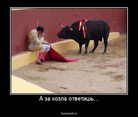 А за козла ответишь...