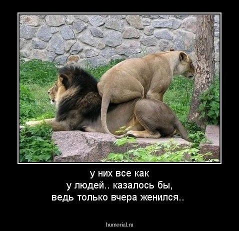 у них все как у людей.. казалось бы, ведь только вчера женился..