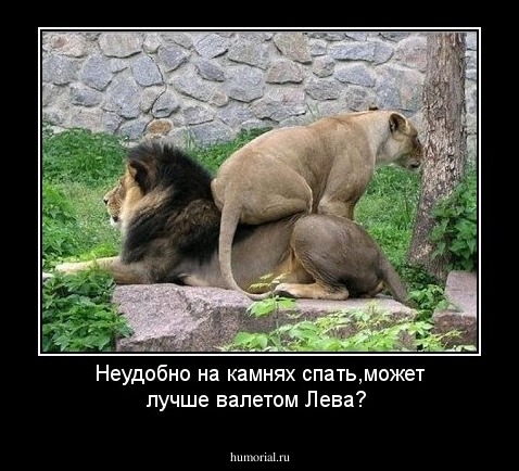 Неудобно на камнях спать,может лучше валетом Лева?
