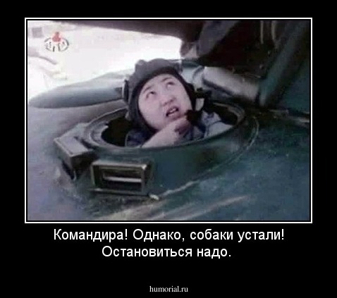 Командира! Однако, собаки устали! Остановиться надо.