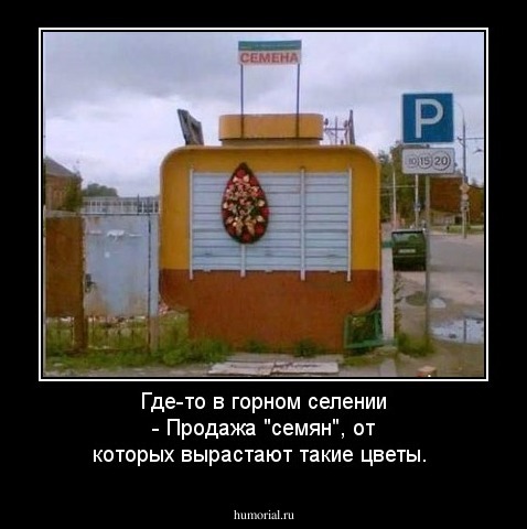 Где-то в горном селении - Продажа "семян", от которых вырастают такие цветы. 