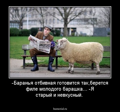 -Баранья отбивная готовится так,берется филе молодого барашка...
-Я старый и невкусный.