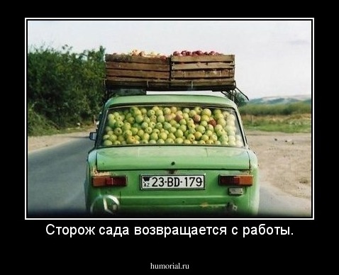 Сторож сада возвращается с работы.
