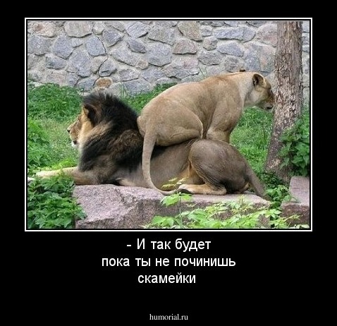 - И так будет пока ты не починишь скамейки