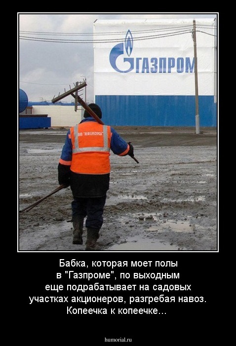 Бабка, которая моет полы в "Газпроме", по выходным еще подрабатывает на садовых участках акционеров, разгребая навоз. Копеечка к копеечке...