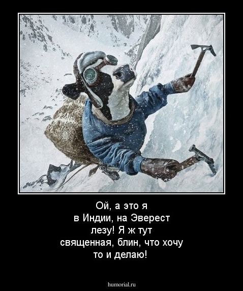 Ой, а это я в Индии, на Эверест лезу! Я ж тут священная, блин, что хочу то и делаю!