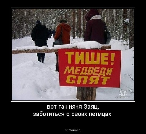 вот так няня Заяц, заботиться о своих петмцах