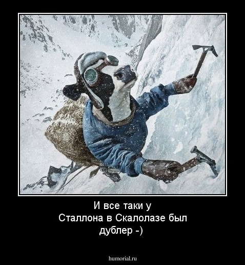 И все таки у Сталлона в Скалолазе был дублер -)
