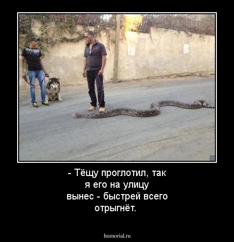 - Тёщу проглотил, так я его на улицу вынес - быстрей всего отрыгнёт.