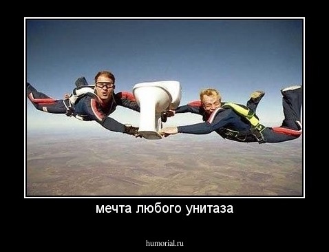 мечта любого унитаза