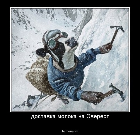 доставка молока на Эверест