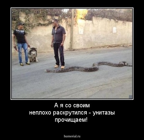 А я со своим неплохо раскрутился - унитазы прочищаем!