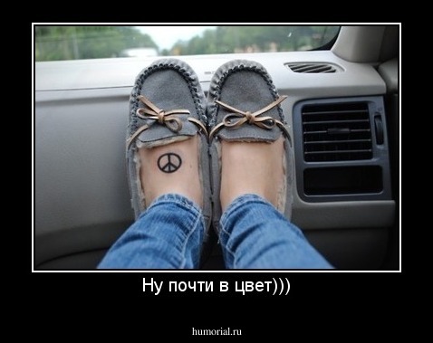 Ну почти в цвет)))