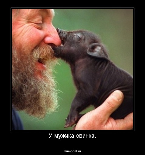 У мужика свинка.