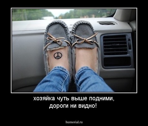 хозяйка чуть выше подними, дороги ни видно!