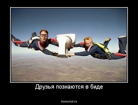 Друзья познаются в биде