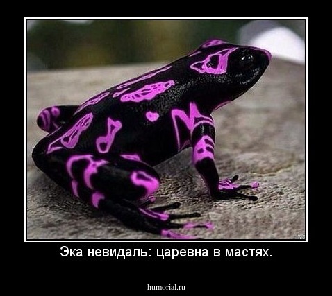 Эка невидаль: царевна в мастях.