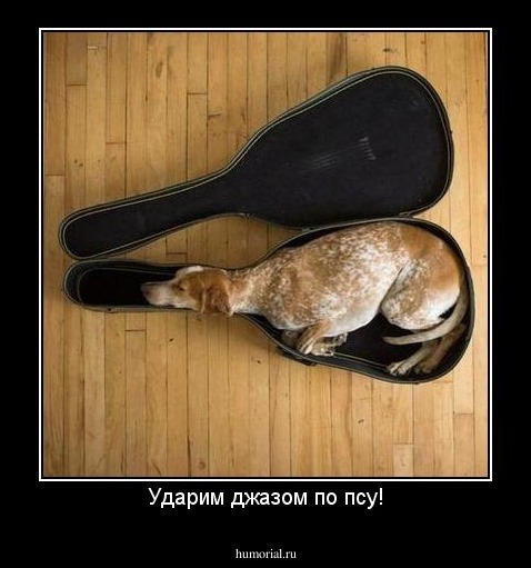 Ударим джазом по псу!