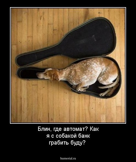 Блин, где автомат? Как я с собакой банк грабить буду?