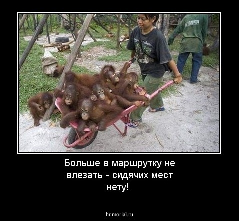 Больше в маршрутку не влезать - сидячих мест нету!