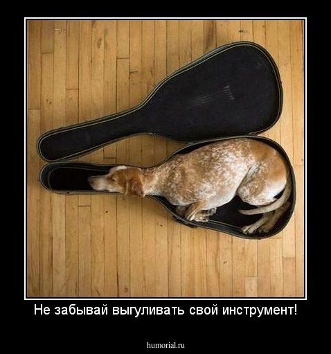 Не забывай выгуливать свой инструмент!