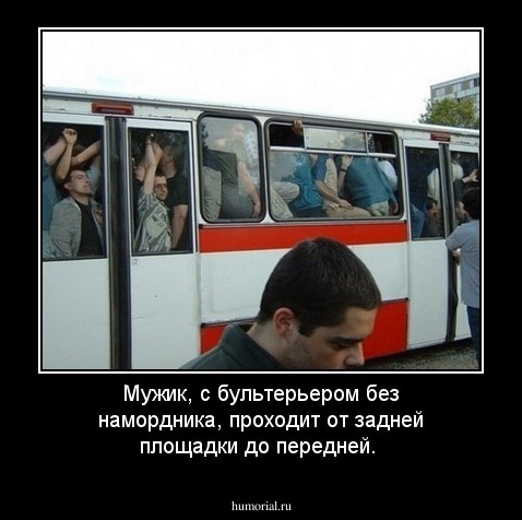 Мужик, с бультерьером без намордника, проходит от задней площадки до передней.