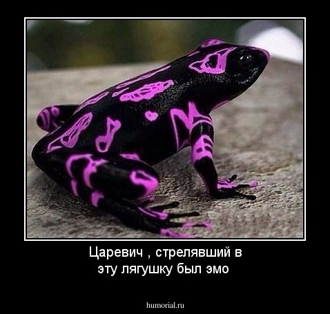 Царевич , стрелявший в эту лягушку был эмо