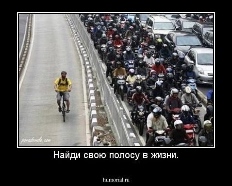 Найди свою полосу в жизни.