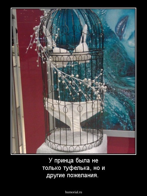 У принца была не только туфелька, но и другие пожелания.