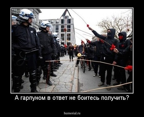 А гарпуном в ответ не боитесь получить?