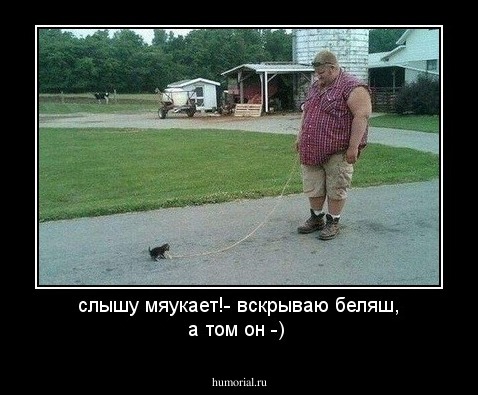 слышу мяукает!-  вскрываю  беляш, а том он -)