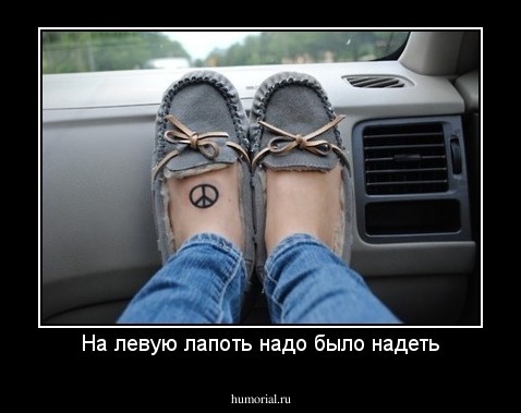 На левую лапоть надо было надеть