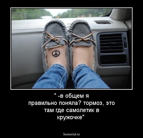 " -в общем я правильно поняла? тормоз, это там где самолетик в кружочке" 