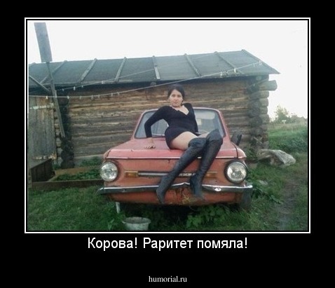 Корова! Раритет помяла!