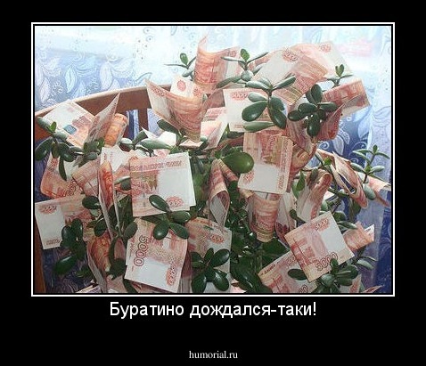 Буратино дождался-таки!