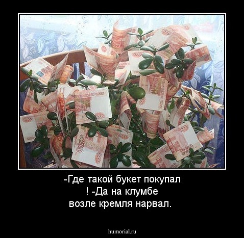 -Где такой букет покупал !
-Да на клумбе возле кремля нарвал.