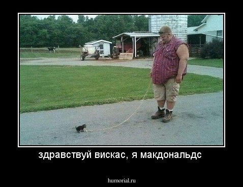 здравствуй вискас, я макдональдс 