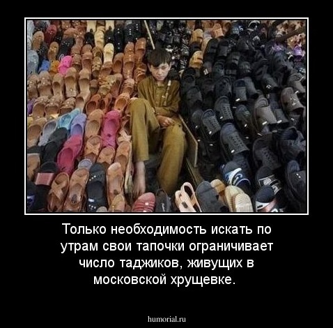 Только необходимость искать по утрам свои тапочки ограничивает число таджиков, живущих в московской хрущевке. 