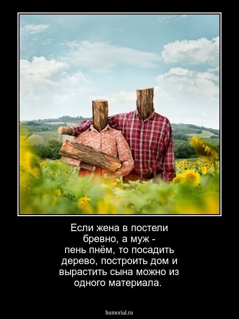 Если жена в постели бревно, а муж - пень пнём, то посадить дерево, построить дом и вырастить сына можно из одного материала. 