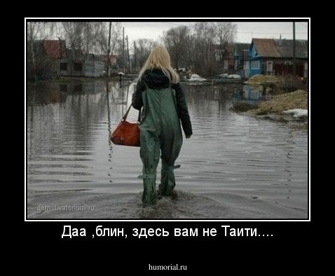 Даа ,блин, здесь вам не Таити....