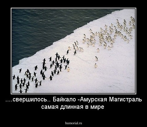 ....свершилось.. Байкало -Амурская Магистраль самая длинная в мире