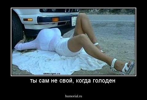 ты сам не свой, когда голоден 