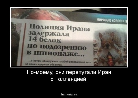 По-моему, они перепутали Иран с Голландией