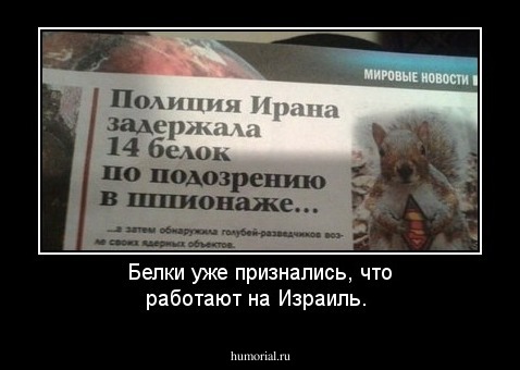 Белки уже признались, что работают на Израиль.