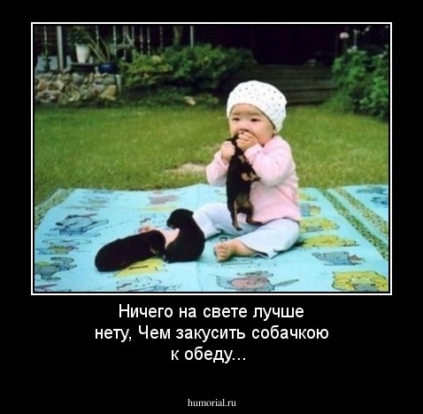 Ничего на свете лучше нету,
Чем закусить собачкою к обеду...