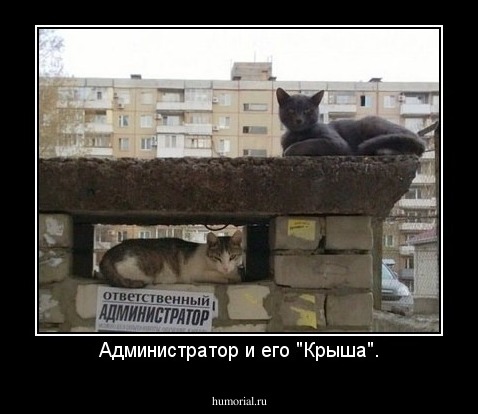 Администратор и его "Крыша".