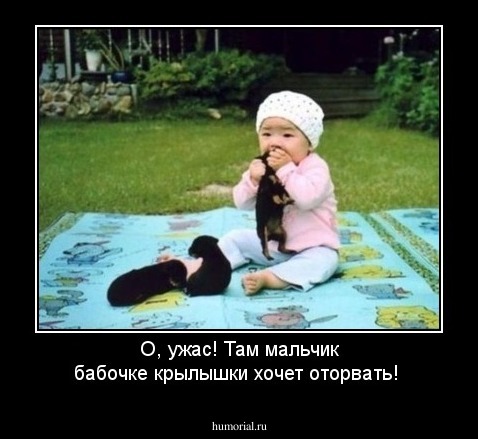 О, ужас! Там мальчик бабочке крылышки хочет оторвать!
