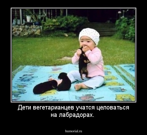 Дети вегетарианцев учатся целоваться на лабрадорах. 