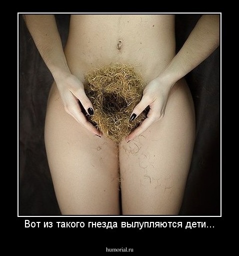 Вот из такого гнезда вылупляются дети...